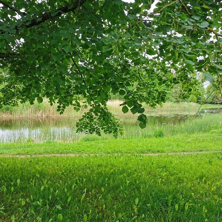 Upes Apartamentai Biržai Exteriér fotografie