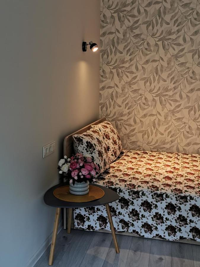 Upes Apartamentai Biržai Exteriér fotografie