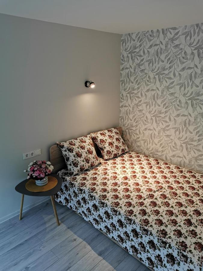 Upes Apartamentai Biržai Exteriér fotografie