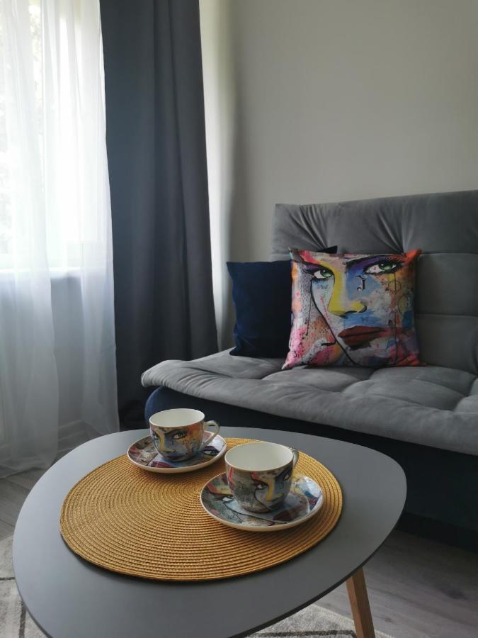 Upes Apartamentai Biržai Exteriér fotografie