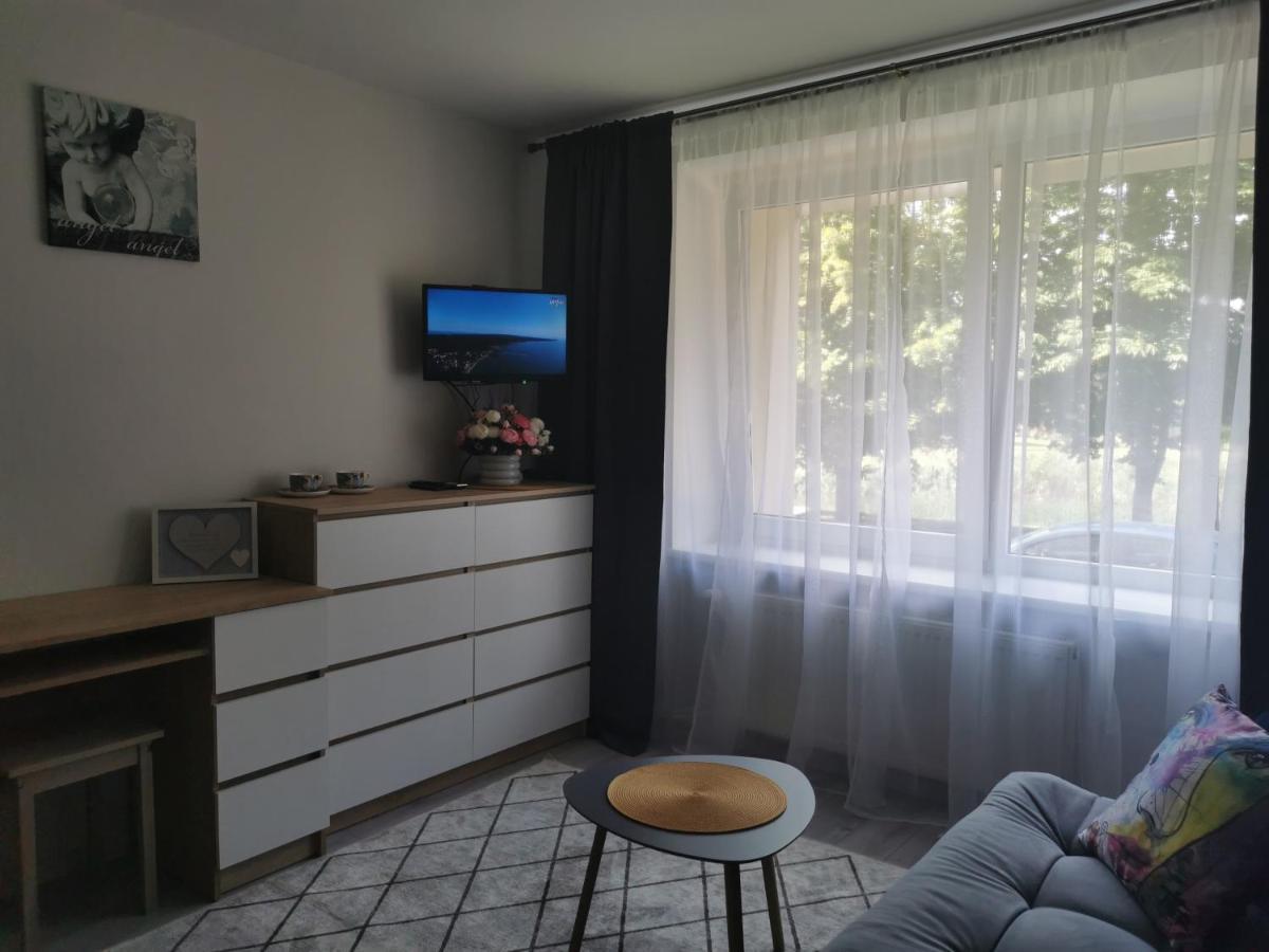 Upes Apartamentai Biržai Exteriér fotografie