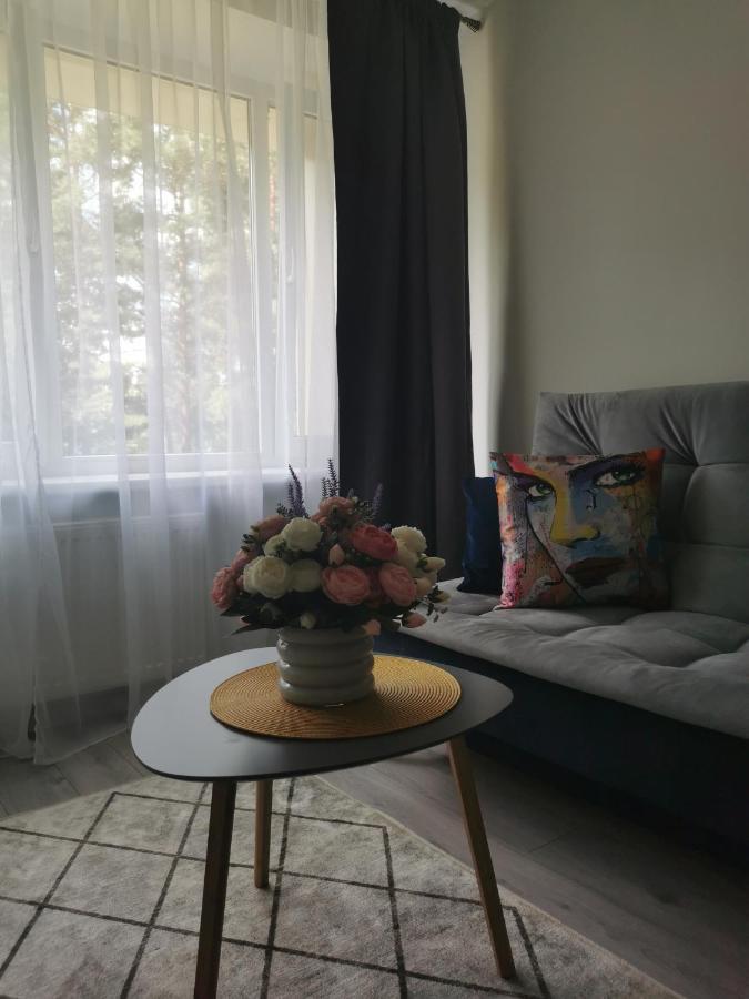 Upes Apartamentai Biržai Exteriér fotografie